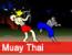 Igre - Muay Thai